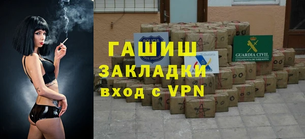гашик Алексин