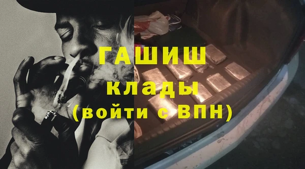 гашик Алексин