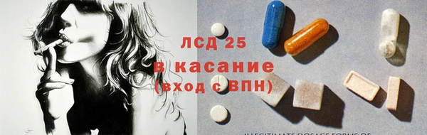 гашик Алексин