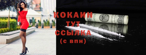 гашик Алексин