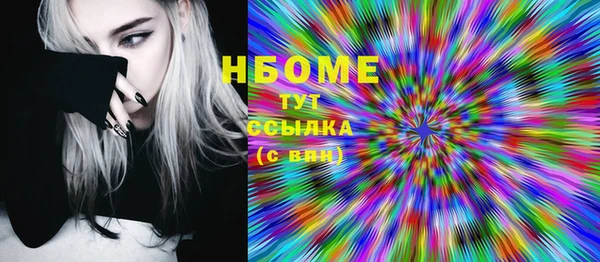 гашик Алексин