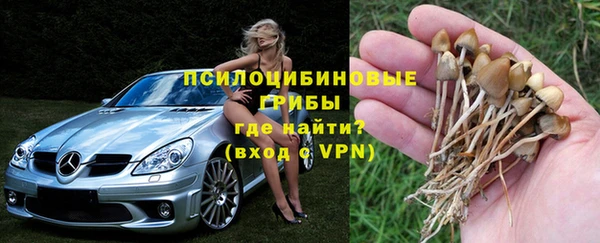 мет Аркадак