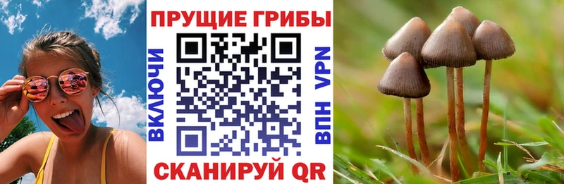 мега зеркало  хочу   Ленинск-Кузнецкий  Галлюциногенные грибы прущие грибы 